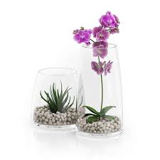 Orchid Flower In Glass Pot 3d Model