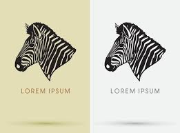 Zebra Line Vector Art Icons And