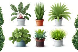 A Collection Of Realistic Potted Plant