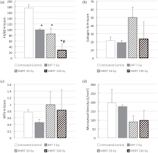 minibeam radiation therapy enhanced