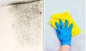 How To Get Rid Of Mould On Walls 2