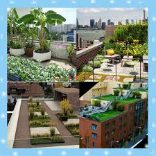 Best Rooftop Gardens Models Apk