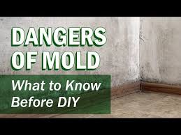 Residential Mold Remediation Services