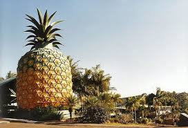The Big Pineapple Woombye Australia