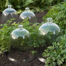 Growing Vegetables And Herbs In A