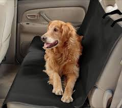 Precious Tails Co Pilot Waterproof Car