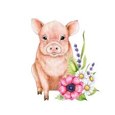 Pig In Flowers Stock Photos Royalty