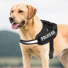 Police K9 Dog Harness At Rs 220 Piece