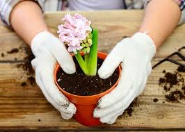 Garden Club Consumer Discount