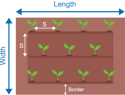 Plant Spacing Calculator