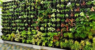 Natural Green Vertical Garden For