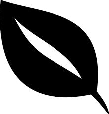 Leaf Icon Png And Svg Vector Free