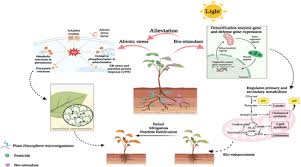 Review On Pesticide Abiotic Stress Over