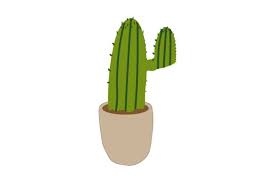 Ornamental Plant Cactus Aesthetic Icon
