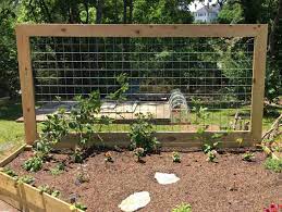 How To Make A Goat Wire Fence Trellis