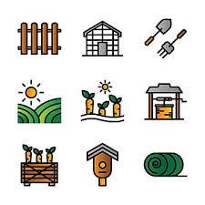 Green Wheat Clipart Images Free