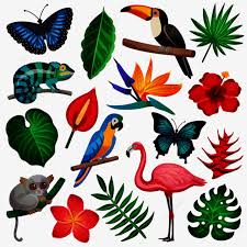 Flora Fauna Vector Art Png Colored And