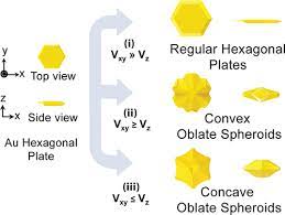 Two Dimensional Au Hexagonal Nanoplates