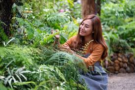 A Young Asian Female Gardener Taking