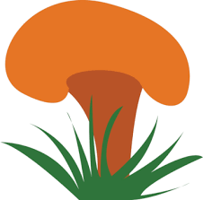 Harvest Vegetables Vector Art Png