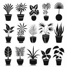 Palm Pot Plant Icon Set Palm Plant