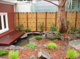 Low Maintenance Water Garden