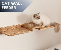 Cat Feeder Shelves Cat Feeding Shelf