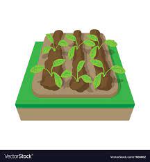 Beds With Plants Cartoon Icon Vector