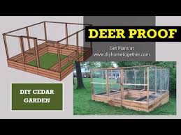 Diy Deer Proof Raised Bed Cedar Garden