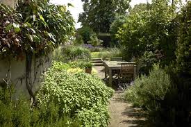 Neglected Slope To Charming Garden