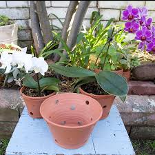 Large Orchid Planter Wheel Thrown