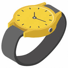 Hand Watch Timepiece Timer Watch