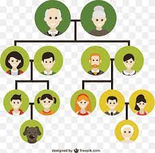 Family Tree Png Images Pngwing