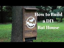 Build A Diy Bat House Diy Crafts