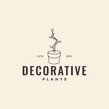 Minimalist Pots With Plant Decorative