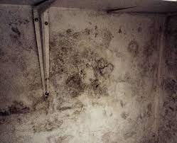Prevent Mold Growth On Concrete