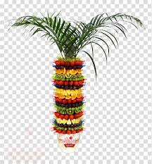 Arecaceae Flowerpot Tree пальмовые