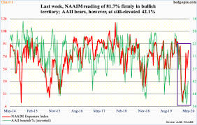 naaim index and aaii bulls in red zone