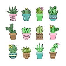 Cute Cactus Set Diffe Types Of
