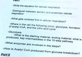 Anaerobic Cellular Respiration