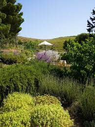 A Hillside Garden In Sicily