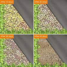 3 Ft X 50 Ft Biodegradable Weed Barrier Nonwoven Landscape Fabric For Raised Bed Organic Ground Cover