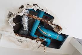 5 Causes Of Household Water Damage