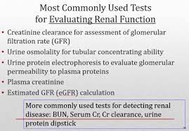 Day 1 Renal Function Chapter 5