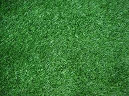 Artificial Grass Field Stock Image