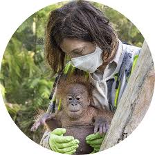 Careers San Diego Zoo Wildlife Alliance