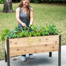 Build Your Own Raised Garden Bed