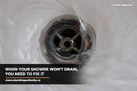Unclog Your Shower Drain And Toilet