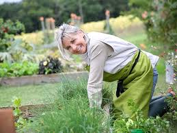 The Five Best Gardening Clubs To Join