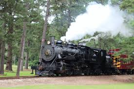 Piney Woods Express Steam Texas State